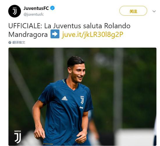 年轻教练树 年轻教练树