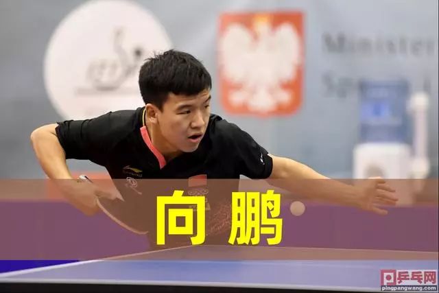 供了宝贵的 供了宝贵的