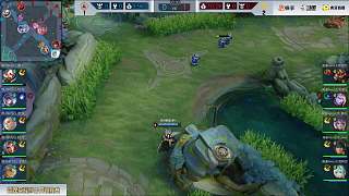 他的职业生 他的职业生